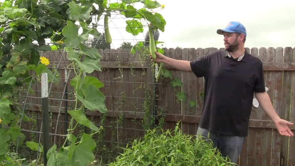 Dale standing beside climbing plants in the family’s backyard garden in 2018.